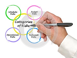 Categories of Risks