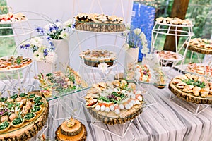 Catering buffet and rustic decor, outdoor wedding party with healthy food snacks photo