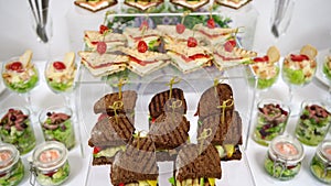 Catering. buffet. snacks for holiday - canapes, sandwiches, rolls, salads.