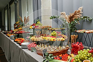 catering buffet table with snacks and appetizers. Set of varios fruits and berries. Decorative vase photo