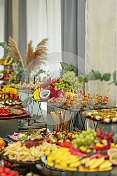 Catering buffet table with snacks and appetizers. Set of varios fruits and berries. Decorative vase photo