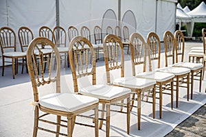 Catering chairs isolated on white photo