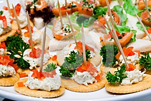 Catering food photo