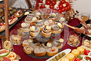 Catering food, colorful canapes