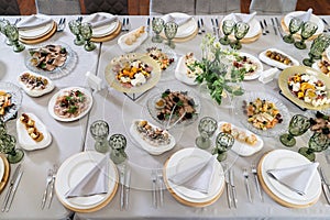 Catering Food Wedding Event Table, beautifully set table. Cheese, profiteroles, meat.