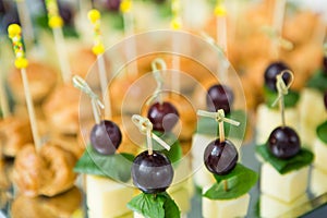 Catering Food Wedding Event Table. Buffet line in Wedding. Delicious appetizer close-up.