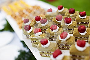 Catering food photo