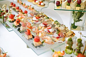 Catering. Off-site food. Buffet table with various canapes, sandwiches, hamburgers and snacks