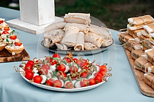 Catering in the outdoor summer park