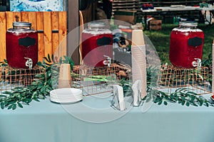 Catering in the outdoor summer park