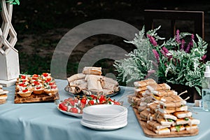 Catering in the outdoor summer park