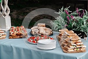 Catering in the outdoor summer park