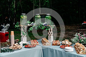 Catering in the outdoor summer park