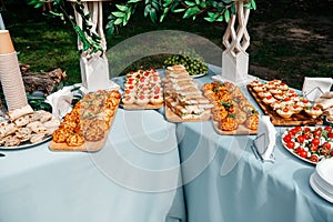 Catering in the outdoor summer park