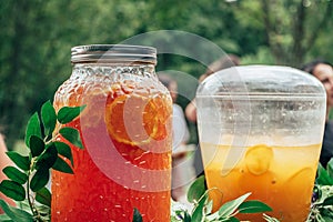 Catering in the outdoor summer park