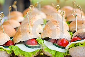 Catering for party. Mini sandwiches with lettuce, cherry tomatoes and mozzarella.