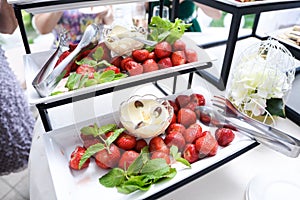 Catering service plate .appetizing sandwiches on plastic sticks rangeSandwiches on a table the buffet photo