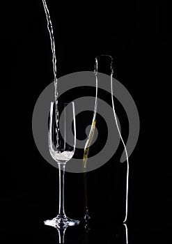 catering service. Silhouette champagne. Party. Champagne on black background