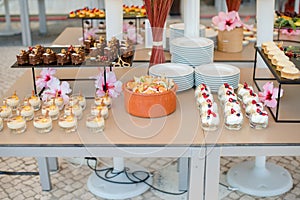The catering wedding buffet. Wedding reception dessert table with delicious decorated white cupcakes with berries closeup