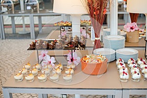 The catering wedding buffet. Wedding reception dessert table with delicious decorated white cupcakes with berries closeup