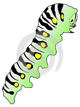 Caterpillar