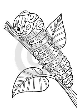 Caterpillar on branch doodle coloring book page. Black and white vector zentangle illustration.
