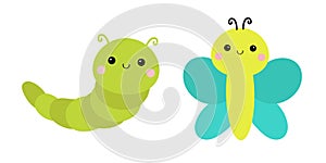 Caterpillar butterfly insect icon set. Crawling catapillar bug. Cute cartoon funny character. Baby collection. Smiling face. Flat