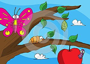 Caterpillar cocoon butterfly