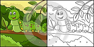 Caterpillar Coloring Page Colored Illustration