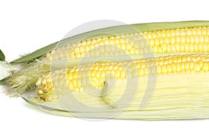 Caterpillar eats corn