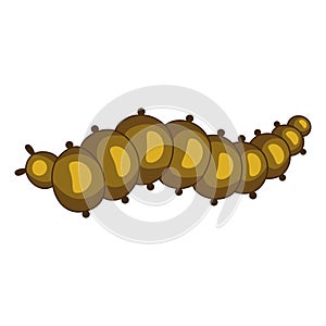 Caterpillar icon, insect, biology and entomology symbol photo