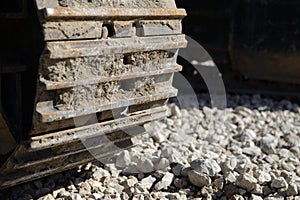 Caterpillar on rock