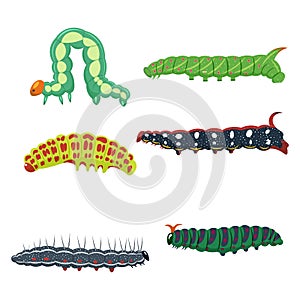 Caterpillars set vector illustration on white background