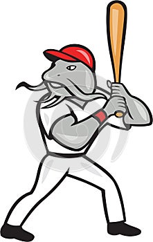 Catfish Baseball Hitter Batting Full Isolated Cartoon