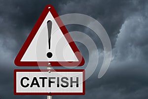 Catfish Caution Sign with stormy sky