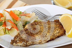 Catfish Fillet Closeup