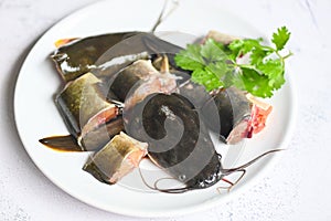 Catfish fillet on white plate, fresh raw catfish menu freshwater fish, catfish for cooking food, fish chopped with ingredients