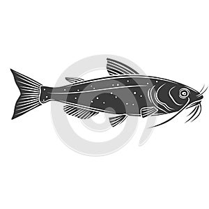 Catfish fish glyph icon.