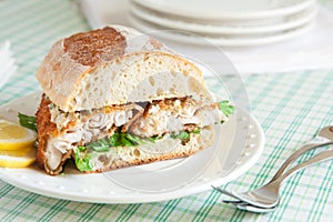 Catfish Sandwich