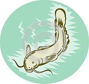 Catfish swimming underwater