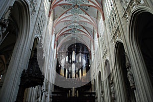 Cathdral Saint Jan Den Bosch