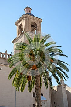 Cathedral of Alicante, spain