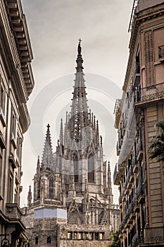 Cathedral of Barcelona Spain Europe