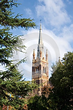 Cathedral behind the trees