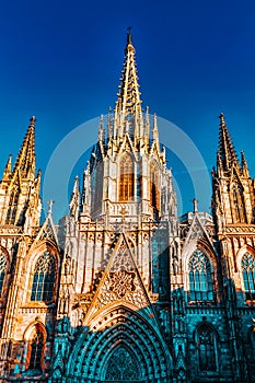 Cathedral. Cathedral of the Holy Cross and Saint Eulalia.Night view. Barcelona