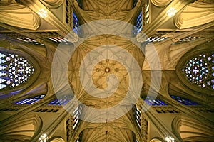 Cathedral ceiling