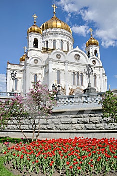 Cathedral of Christ the Savior Framed by Flowers in Spring