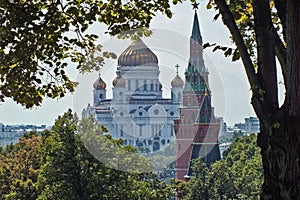 Cathedral of Christ the Savior and Kremlin tower between tree branches Kremlin Moscow photo