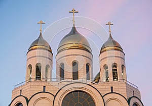 The Cathedral of Christ the Saviour .