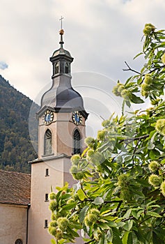 Cathedral of chur and sweet chestnut tree